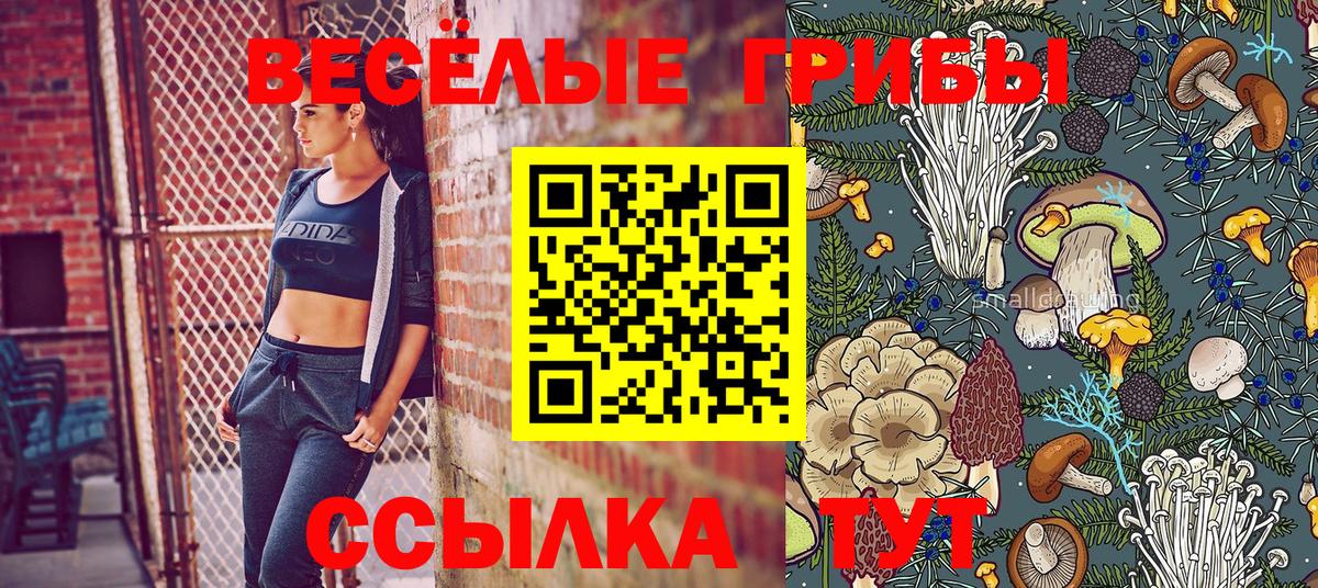 Псилоцибиновые грибы MAGIC MUSHROOMS Саранск