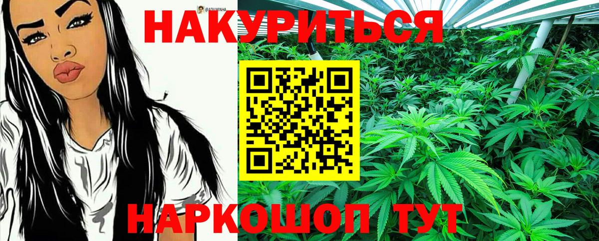 Саранск  Канабис планчик  Бошки Шишки THC 21%  Марихуана тримм  Вход с VPN 